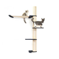 Cats on Crows Nest