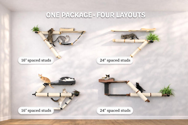 Cat shelf system with different layout options on a white wall.
