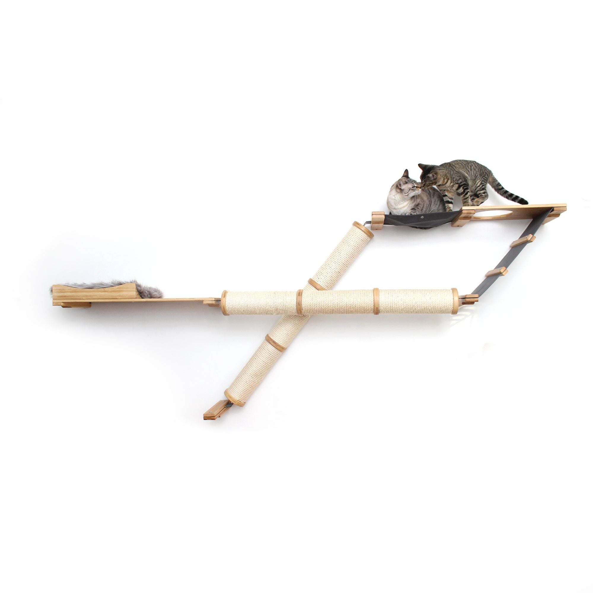 Cats using the Plateau Cat Condo