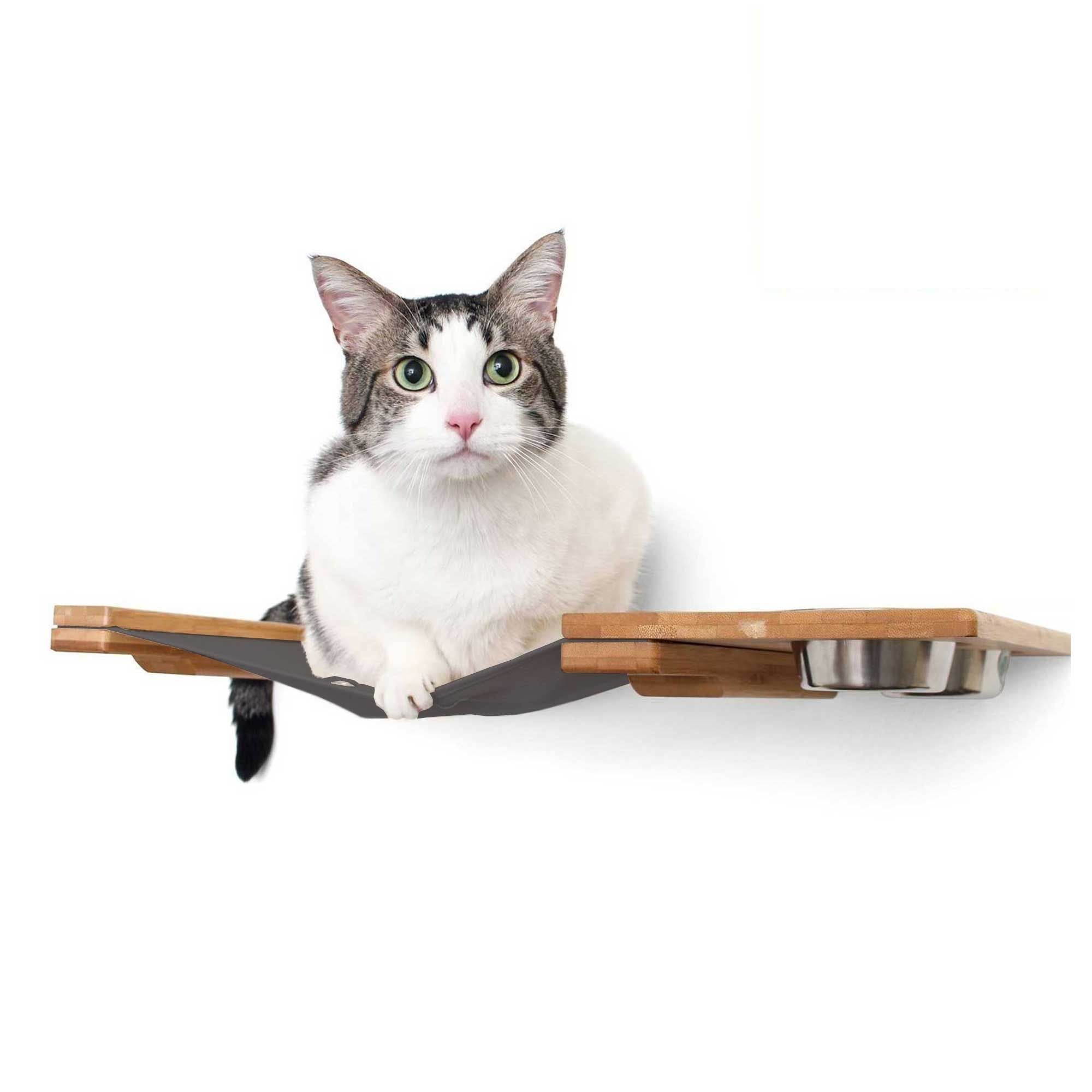 Cat on a Feeder Hammock with dishes