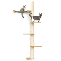 Cats on Crows Nest