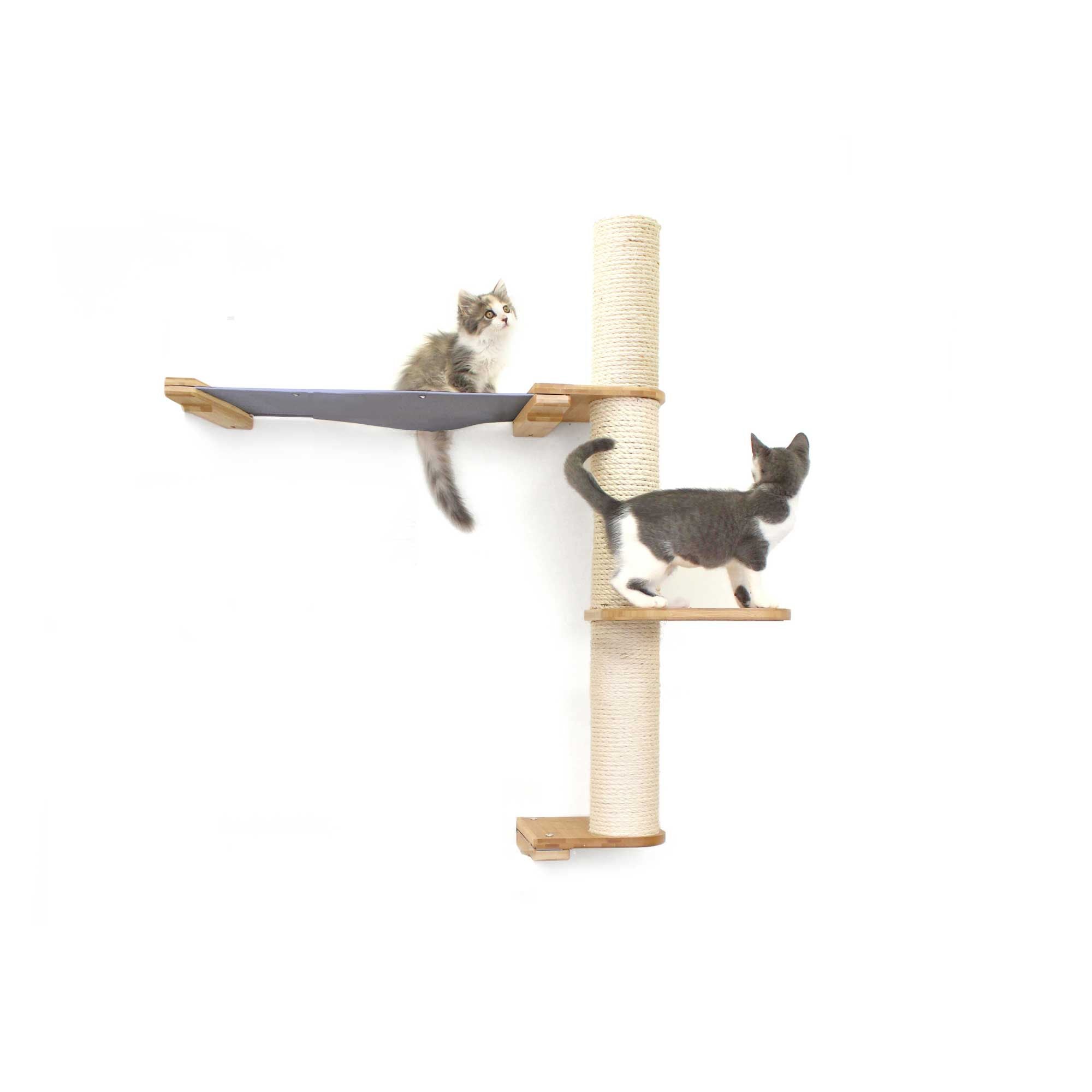 Cats on Crows Nest
