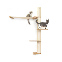 Cats on Crows Nest
