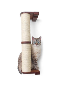 Cat sitting on Scratching Pole