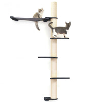Cats on Crows Nest