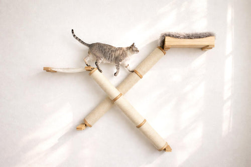 cat walking across angled cat poles 