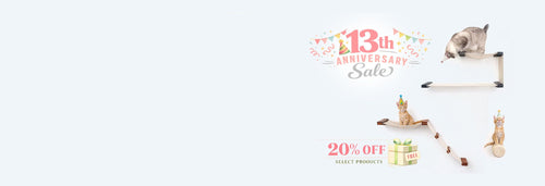 13th Anniversary Sale 2026 hero banner