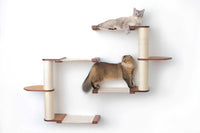 two cats on The Catacombs 16"
