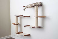 Cat sleeping at the top of The Catacombs 16"