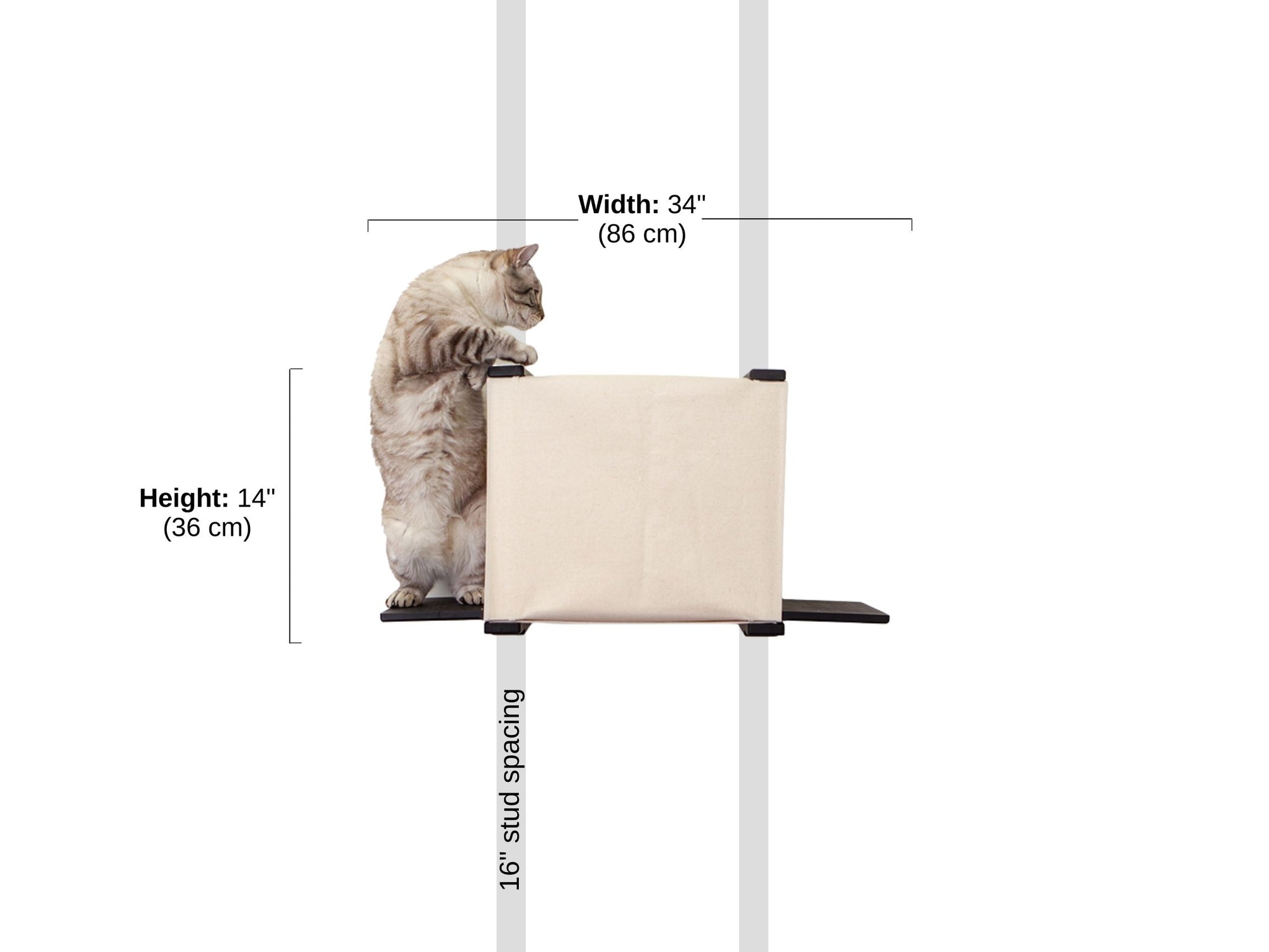 Diagram depicting Cubby with Ledges mounted to wall with 16" stud spacings. Width: 34" (86 cm) Height: 14" (36 cm)