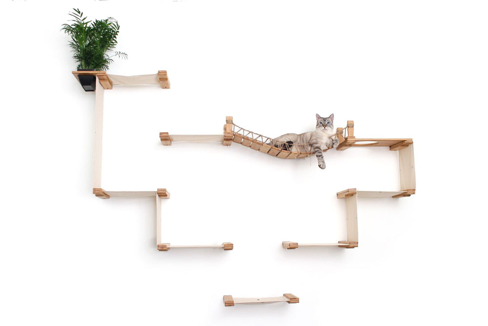 Cat relaxing on the wall mounted cat bridge section of a Natural bamboo Temple cat condo with Natural canvas hammock