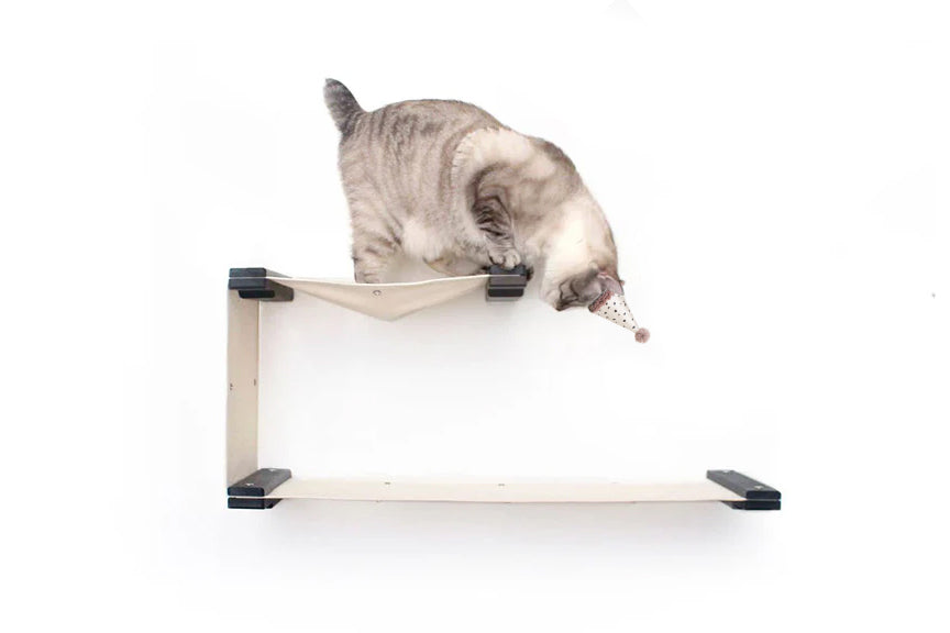 cat peaking off cat wall hammock wearing party hat