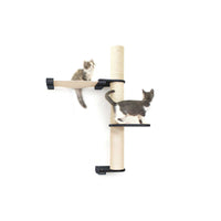 Cats on Crows Nest