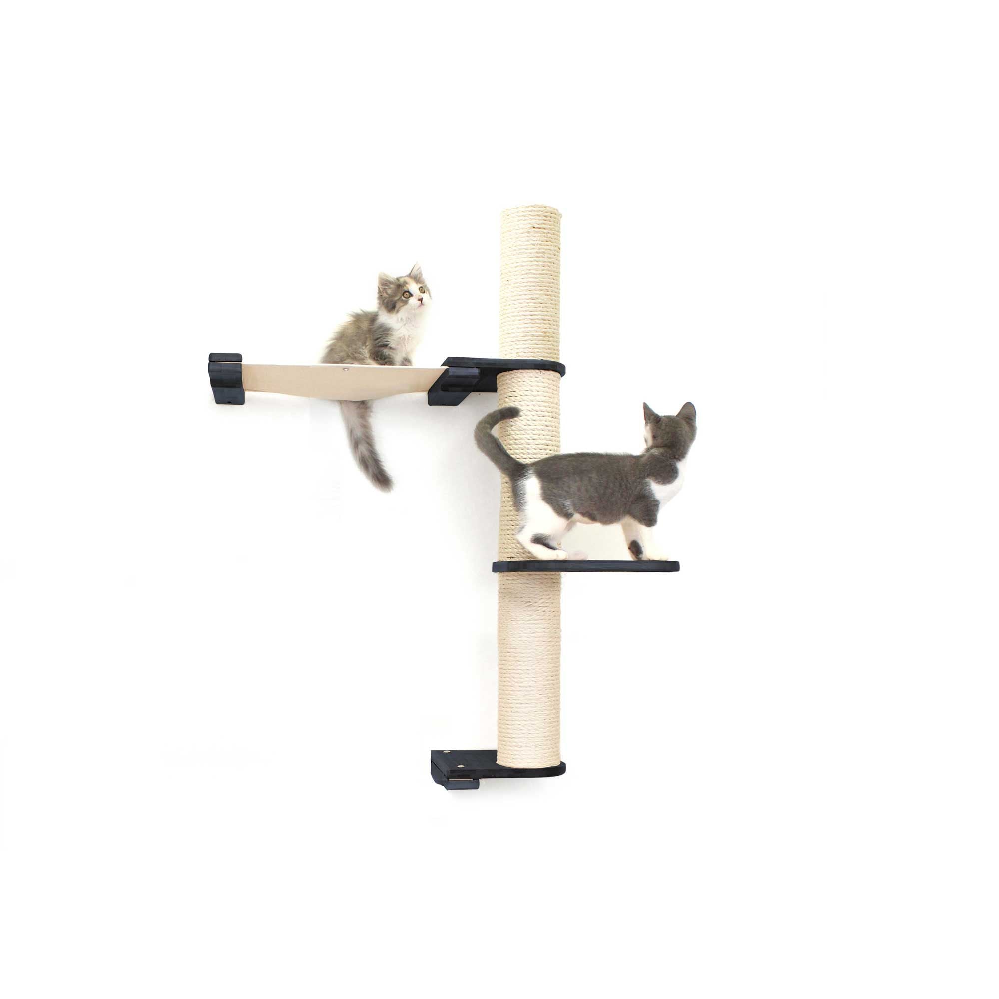 Cats on Crows Nest
