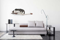 Cat eating on the Feeder Lounge 33" in a living room