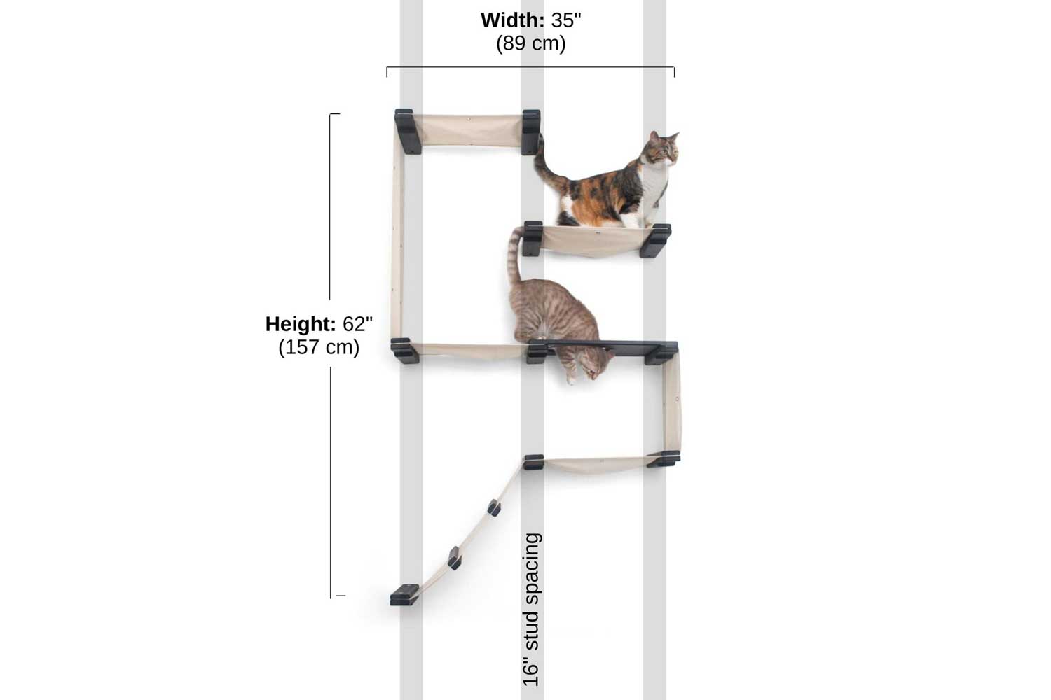 The Fort measurement photo