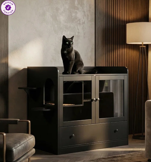 Furniture that encloses liter box with cat on top of it 