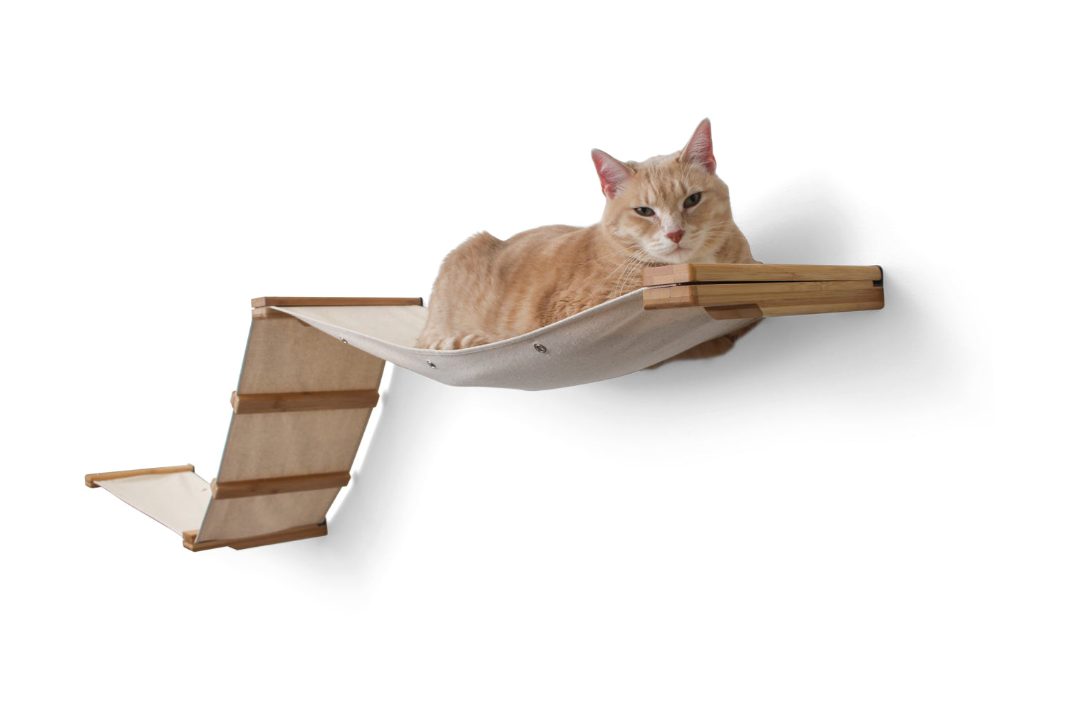 Bronson using The Large Raceway