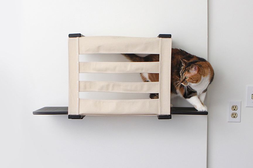 Large calico cat prowls through Onyx Cubby with Slotted canvas.