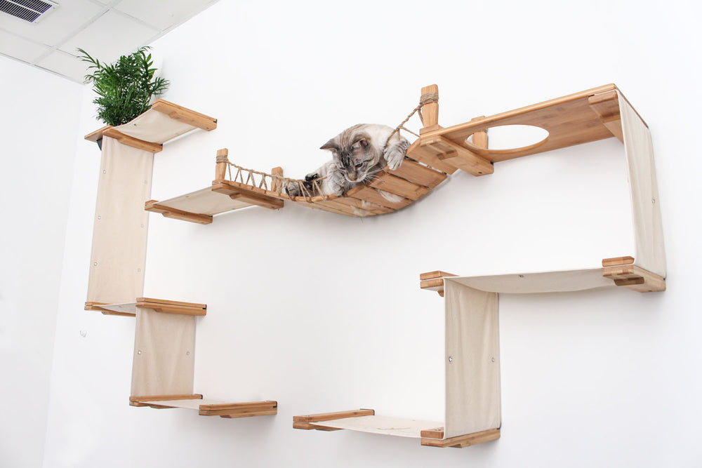 side view of The Temple Cat Condo