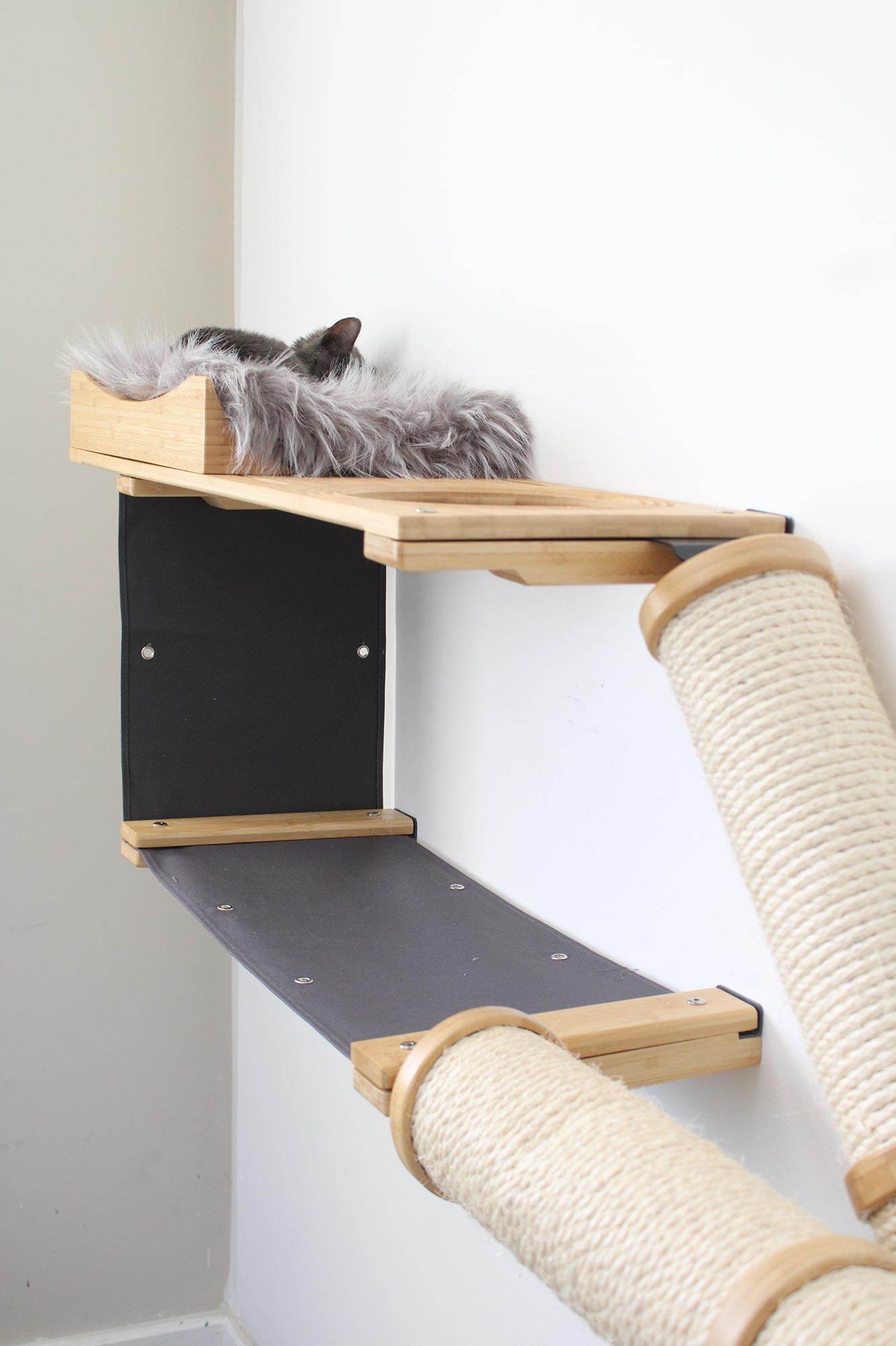 Cat shelf with scratching posts and a cat on top against a white wall.