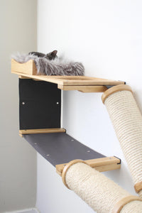 Cat shelf with scratching posts and a cat on top against a white wall.
