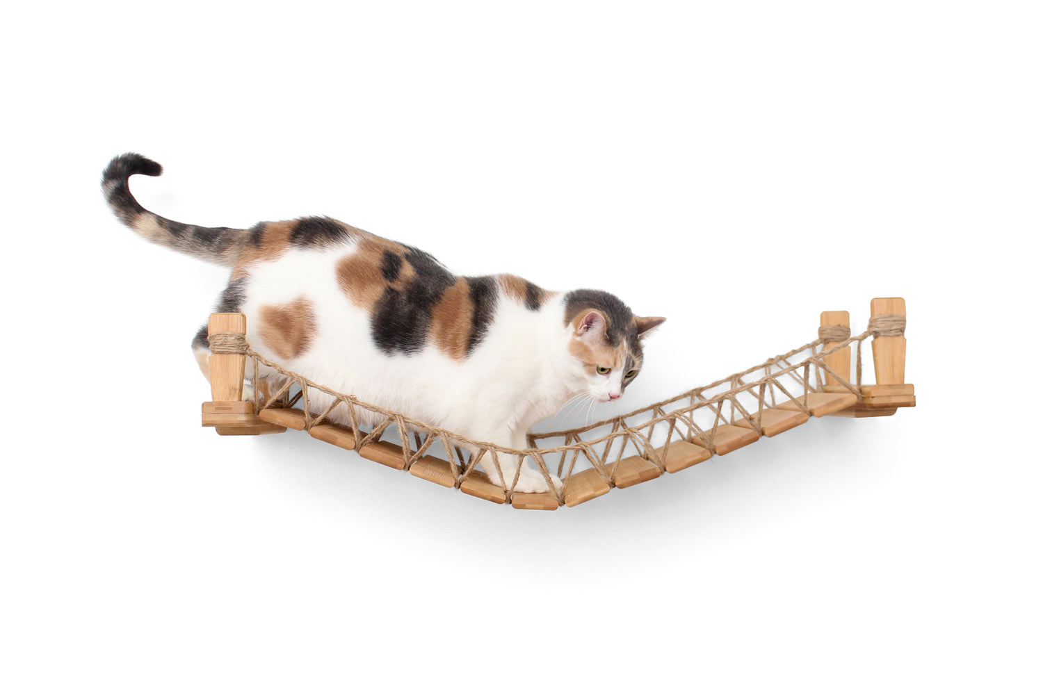 Large Calico cat walking across Natural/Twine bridge.