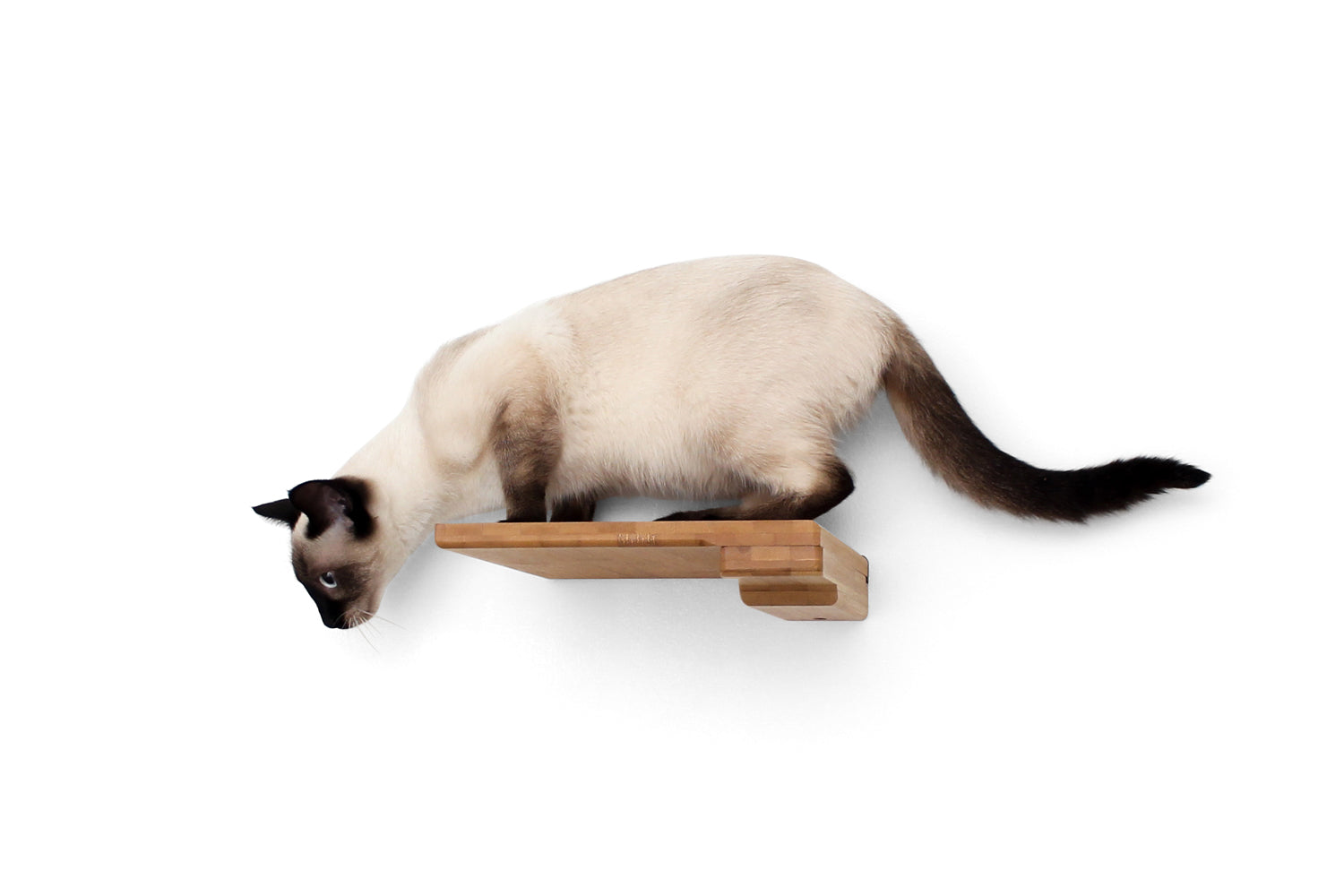 Siamese Cat preparing to jump from Step Shelf, shown in Natural.