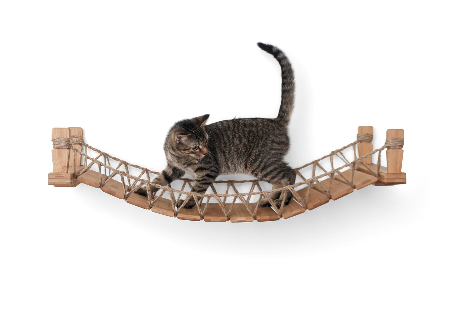 Kitten playing on bridge. Bridge shown is Natural/Twine.