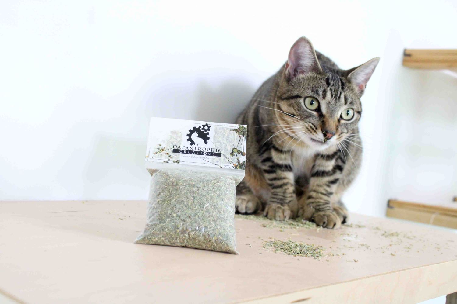 cat posing with the bagged catnip with some leaves on her nose