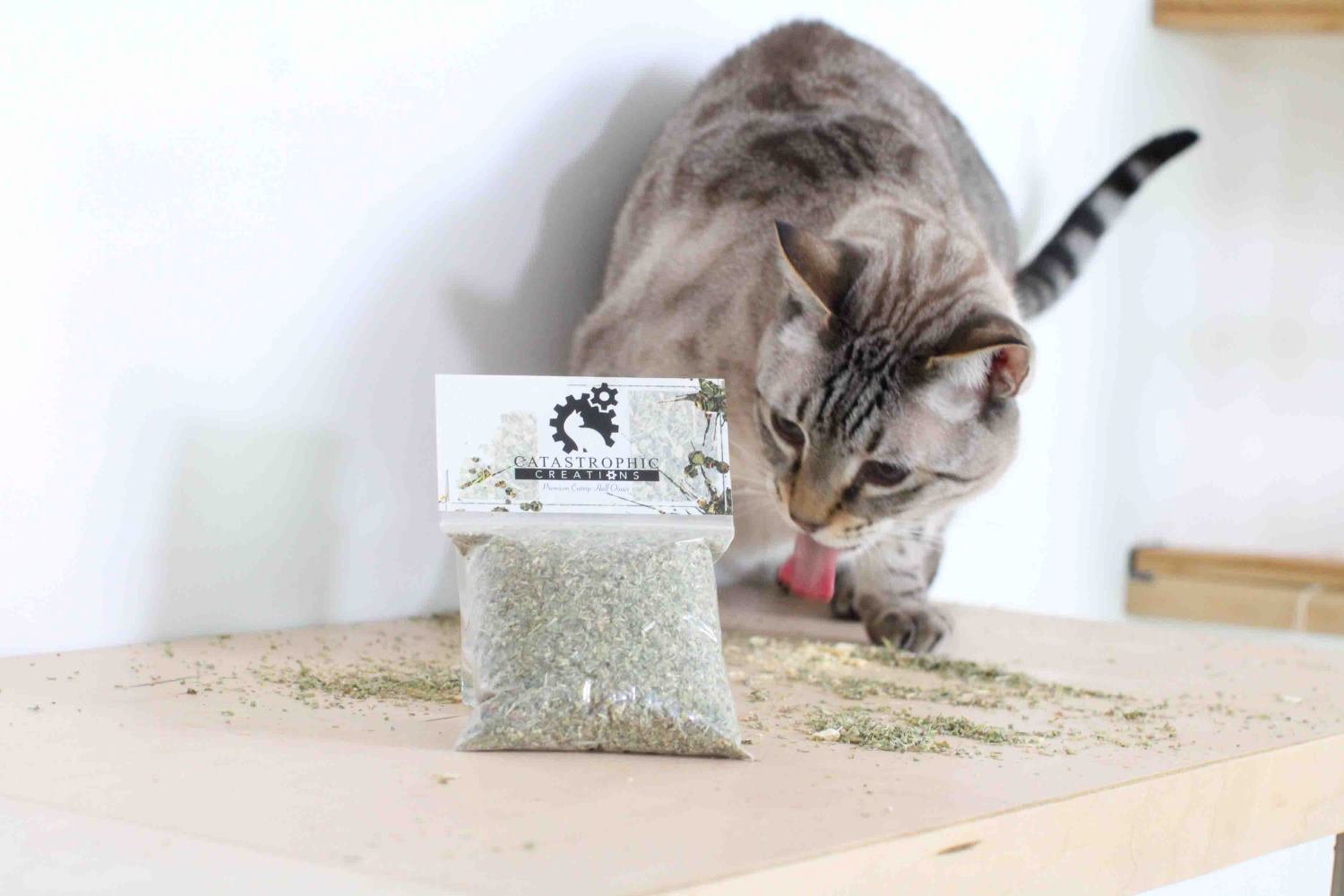 Cat eating the catnip behind the bagged product