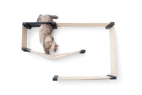 Cat going through escape hatch. Pictured in Onyx/Natural.