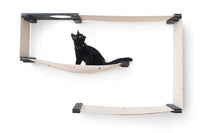 Black kitten playing in Maze. Pictured in Onyx/Natural.