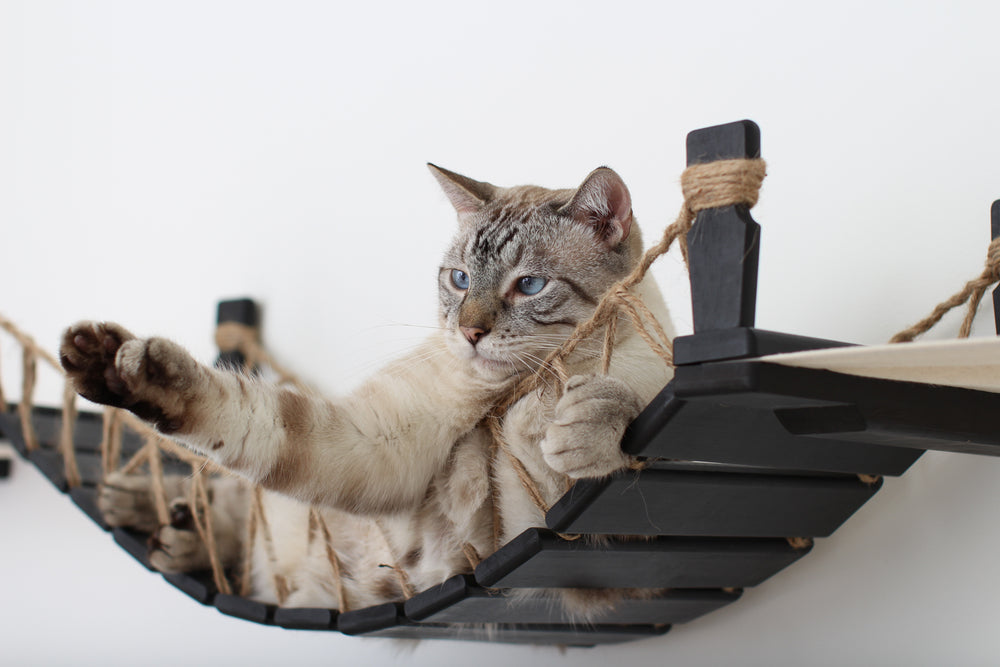 Big cat stretching his paw out while lounging on a cat bridge