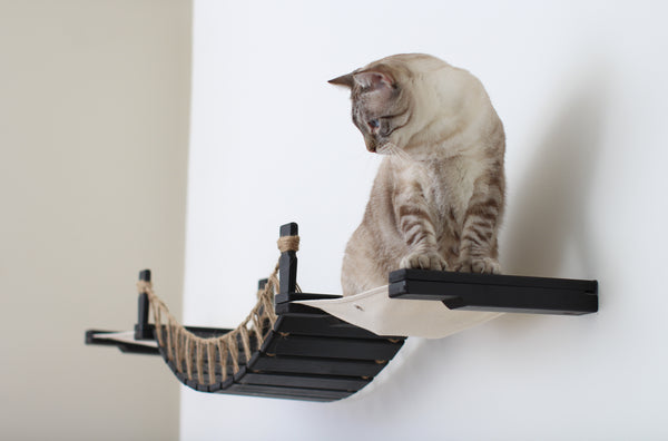 Cat on The Bridge Lounge