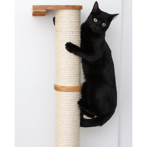 Cat on Vertical Pole