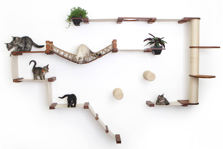 The Juggernaut Cat Condo with kittens