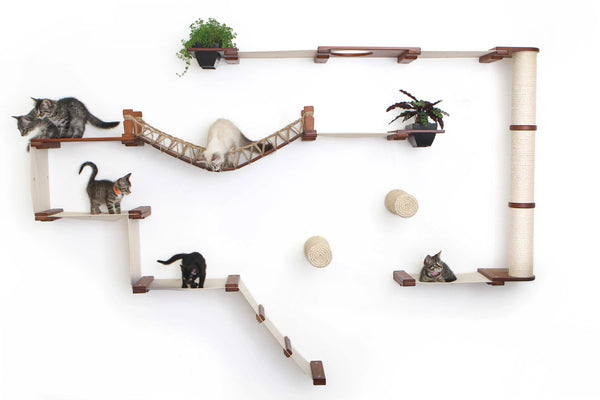 Cat play structure with shelves, a bridge, and hanging plants on a white background