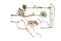 juggernaut cat condo with routes
