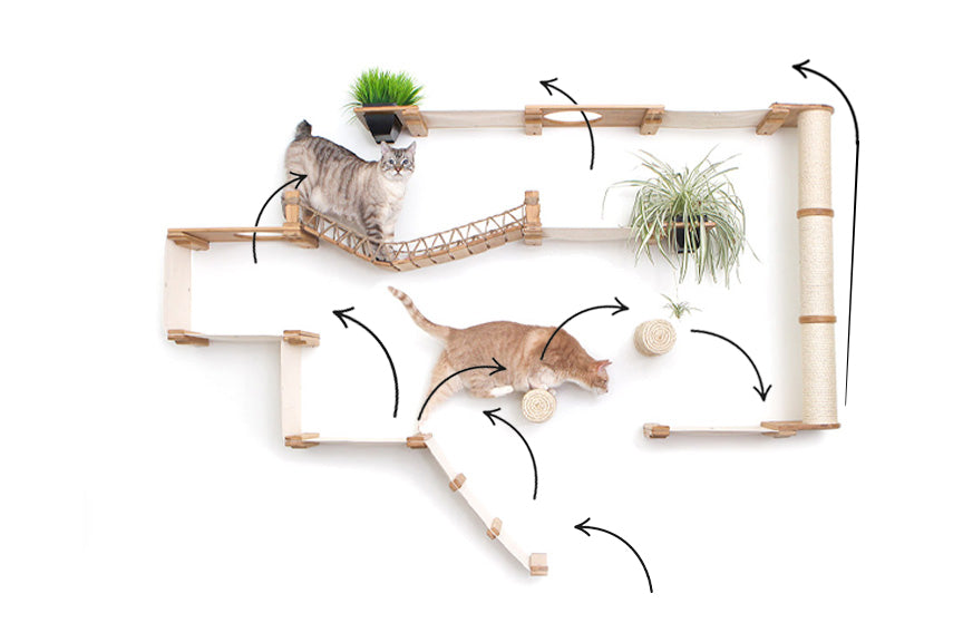 juggernaut cat condo with routes