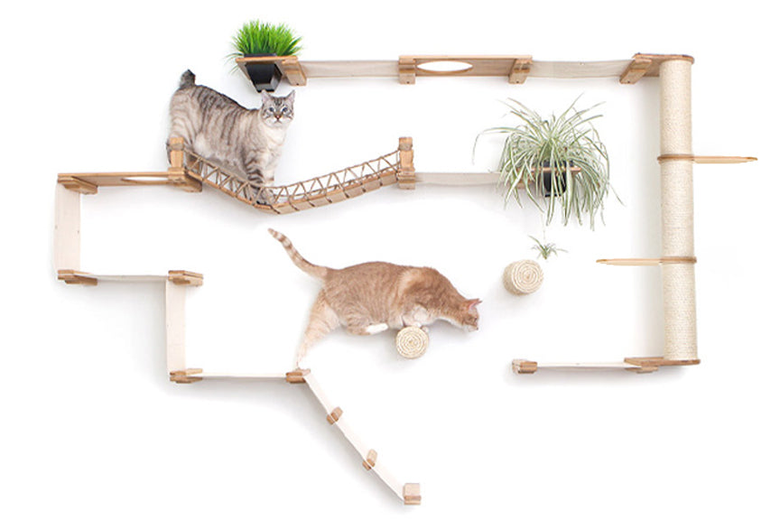 Cats exploring a Natural Bamboo Juggernaut with Natural canvas hammocks and Leaf Shelf additions for the scratching pole.