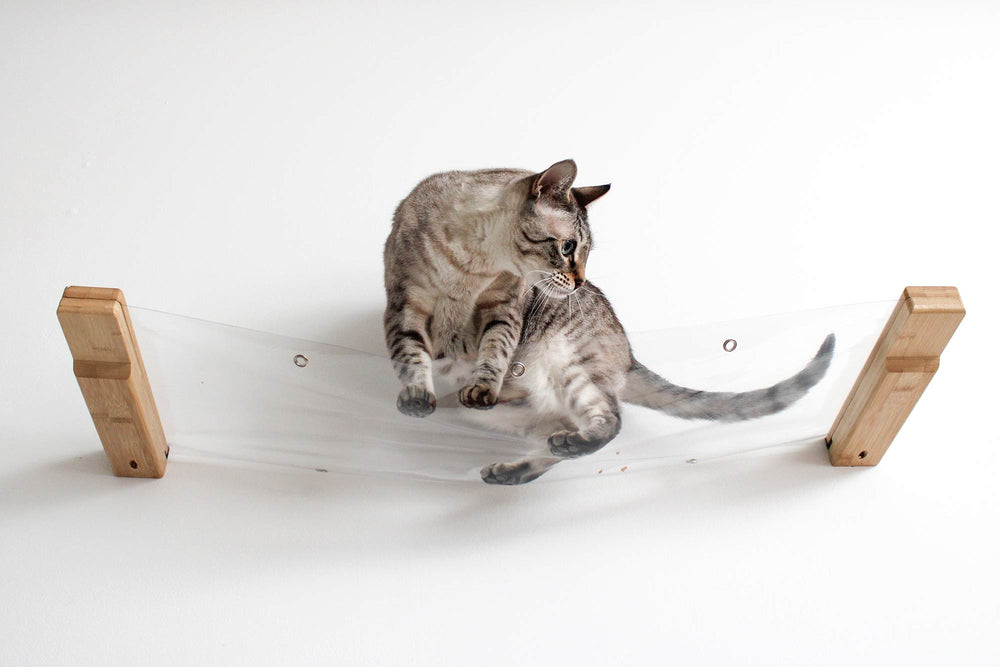Cat on an Invisible Cat Hammock