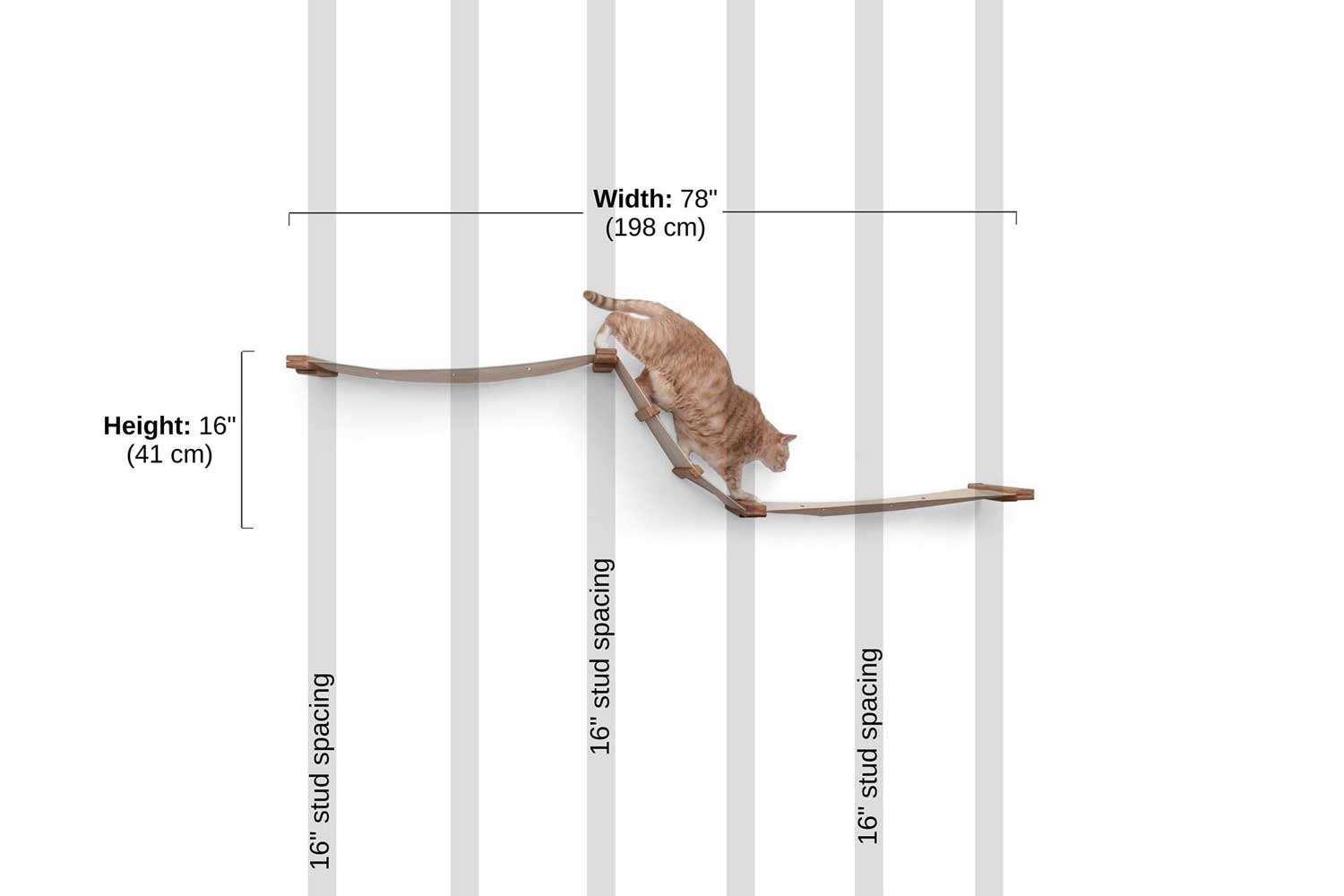 The Large Raceway measurement photo