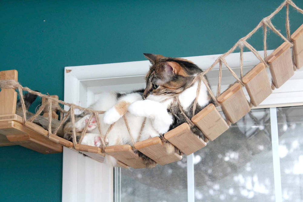 Cat relaxing on bridge mounted in front of window. Bridge shown is Natural/Twine.