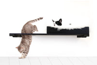 Cats on Nest Bed with Escape Hatch