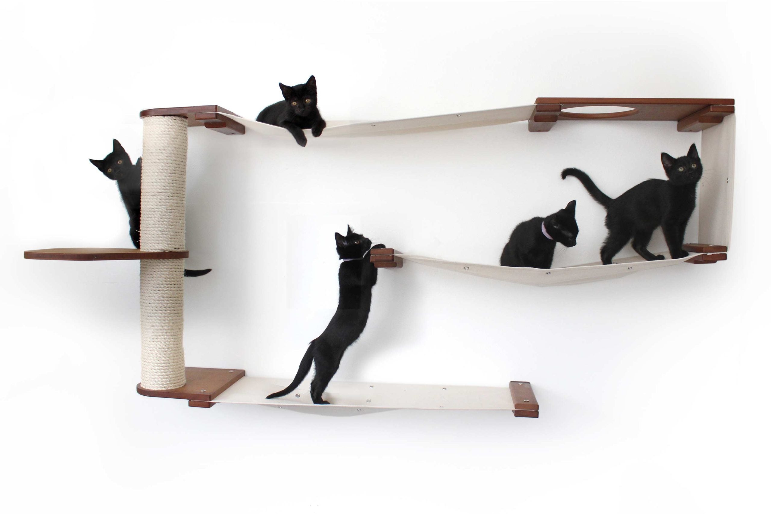 Five black kittens play in the Deluxe Maze. Finished in English Chestnut and Natural canvas.
