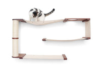 Cat playing on Deluxe Maze.