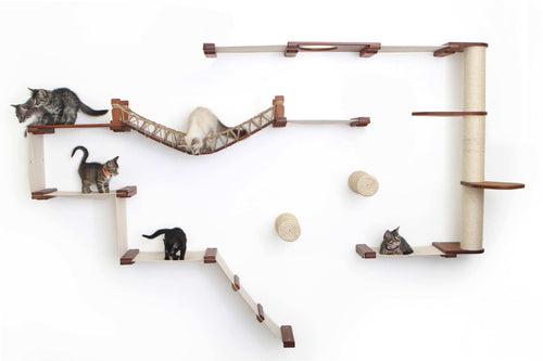 Kittens playing on an Juggernaut cat condo with Englighs Chestnut Bamboo and Natural Canvas