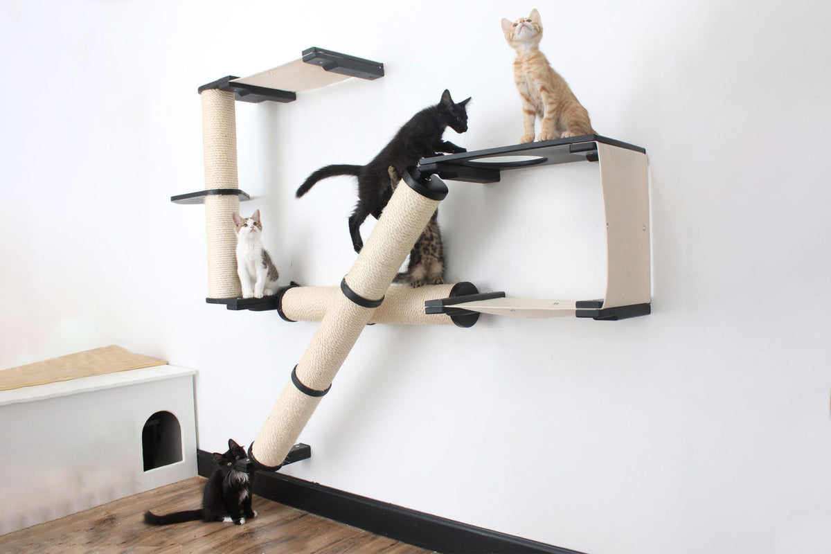 The Crossroads Cat Wall Scratcher Tree with Ramp