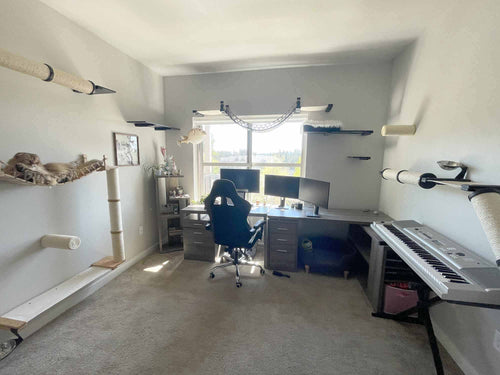 home office with cat walls and cat lounging